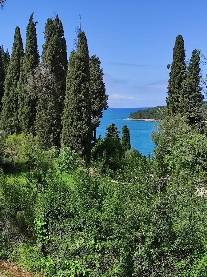 Mobile Home More Porton Nature Hideouts روفينج المظهر الخارجي الصورة