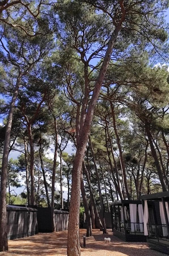 Mobile Home More Porton Nature Hideouts روفينج المظهر الخارجي الصورة