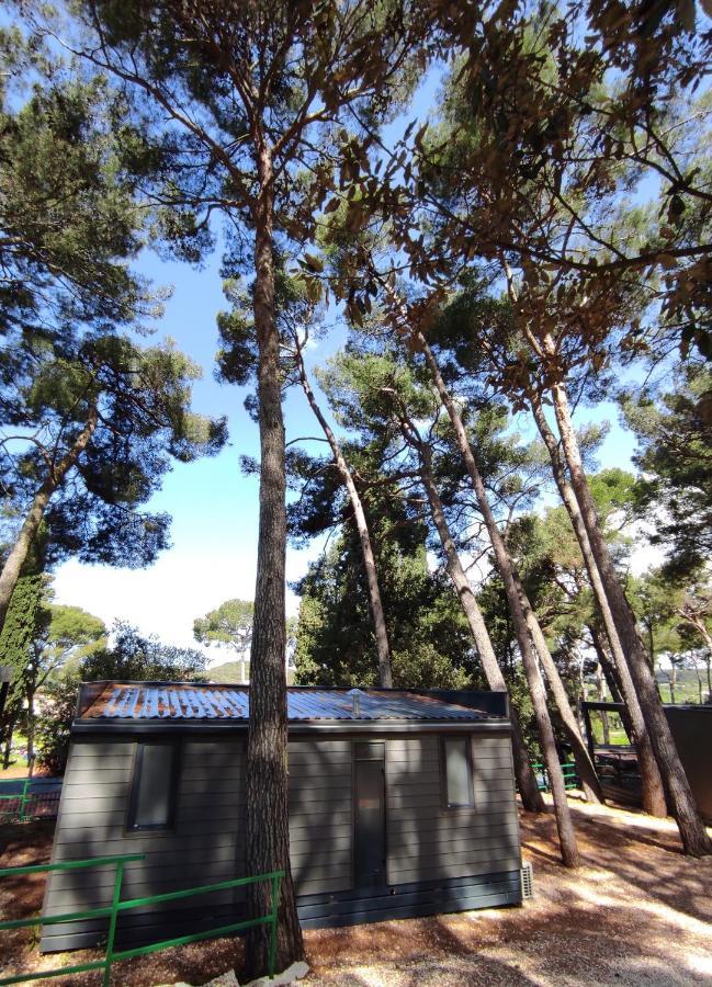 Mobile Home More Porton Nature Hideouts روفينج المظهر الخارجي الصورة