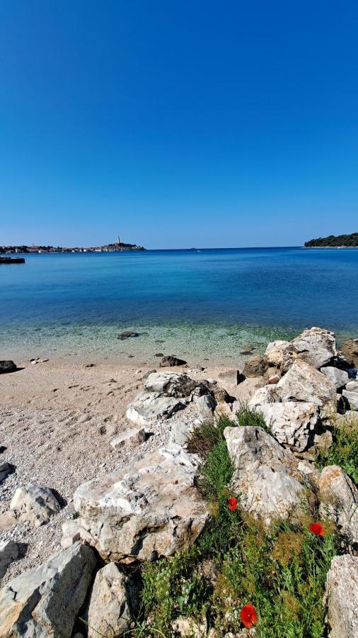 Mobile Home More Porton Nature Hideouts روفينج المظهر الخارجي الصورة